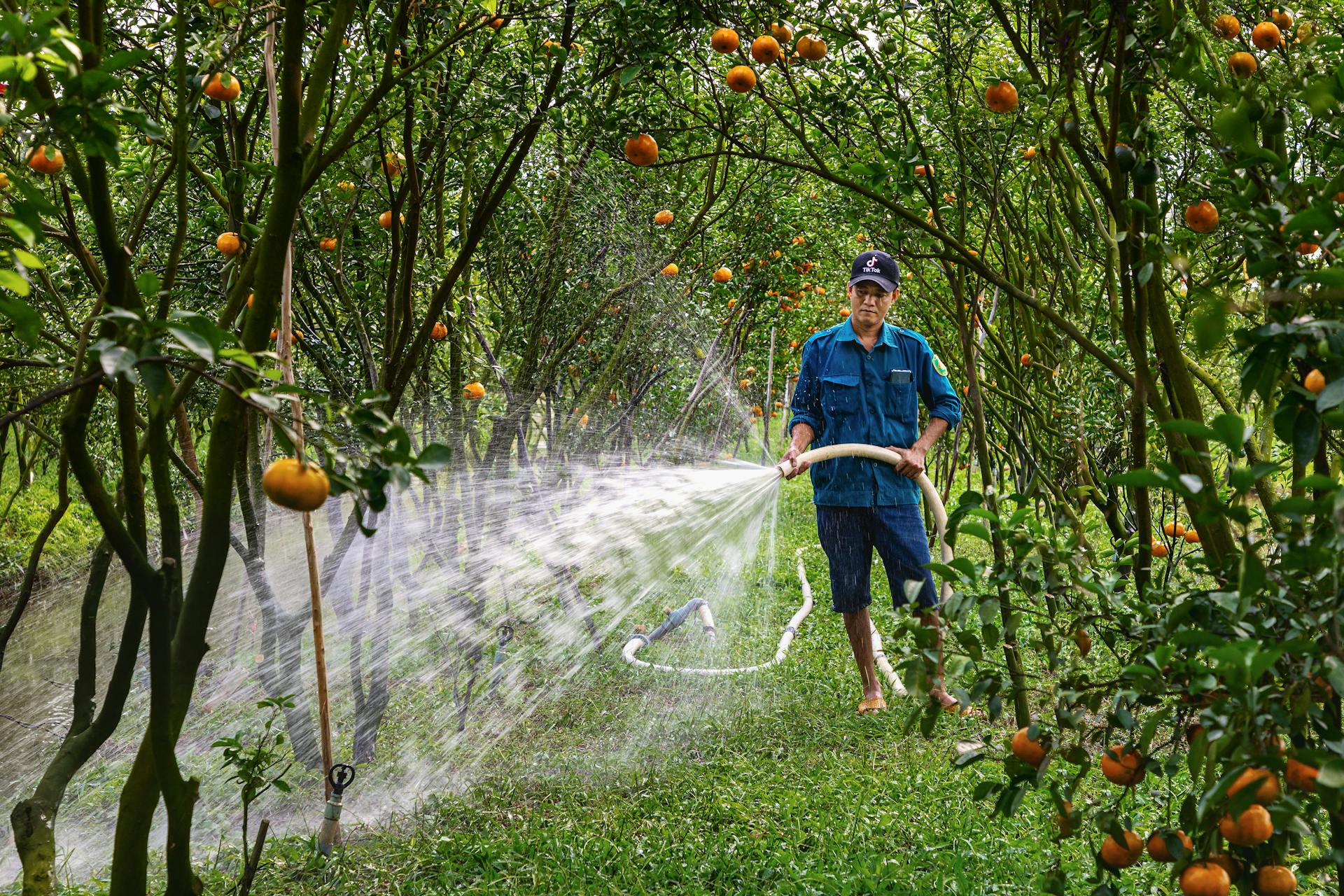 Capture the sustainable charm of Dong Thap’s agriculture